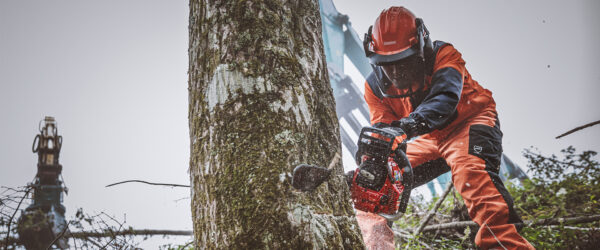 SHINDAIWA 501SX CHAINSAW - Image 4