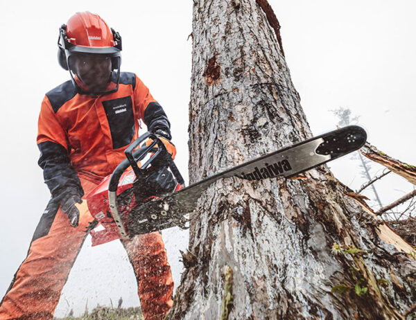 SHINDAIWA 731SX CHAINSAW - Image 2