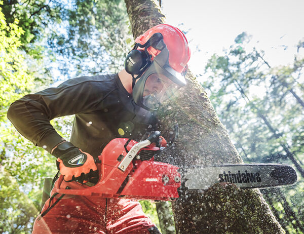 SHINDAIWA 601SX CHAINSAW - Image 3