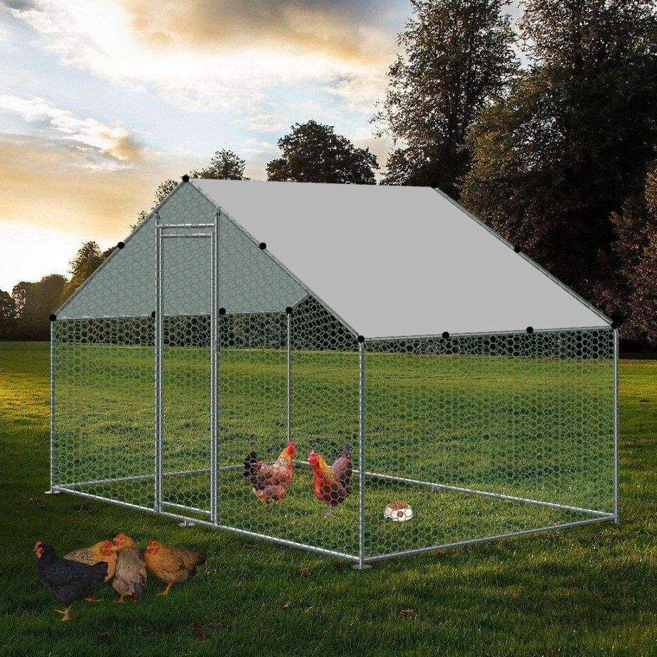 Chicken Run 3m x 2m x 2m